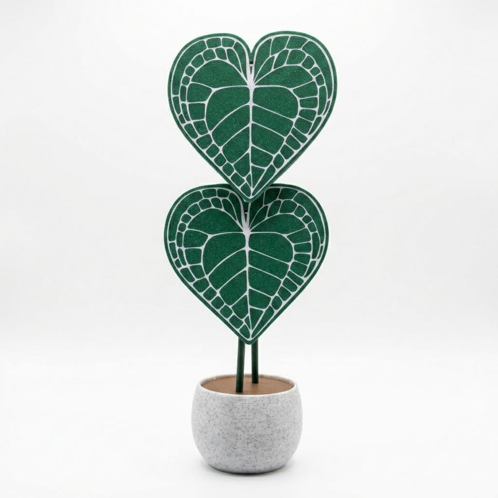 Portavasos Anturio Planta- Edición Colección Set X4